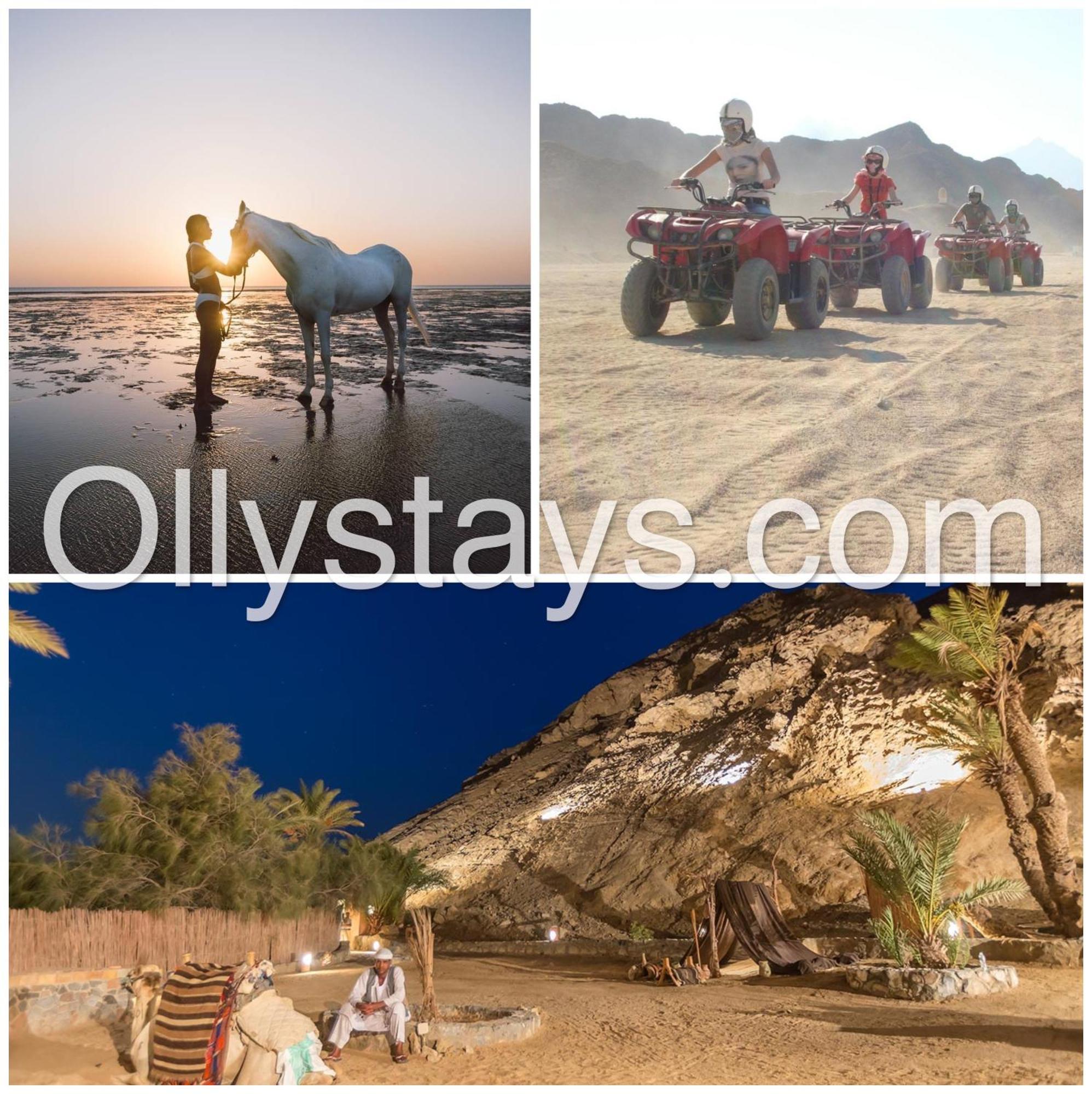 Ollystays Mangroovy 2 Bedroom Beach And Pool Free Access Hurghada Zewnętrze zdjęcie